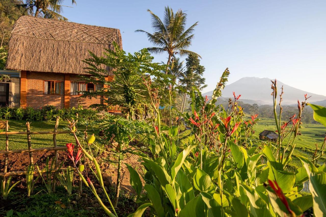 Romantic Barn With Mt. Agung Views Sidemen  Zewnętrze zdjęcie